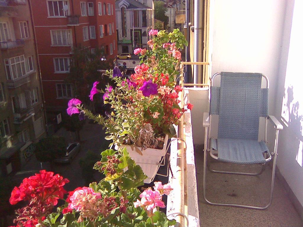 Place In Downtown Sofia